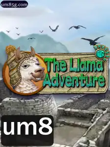 TheLlamaAdventure: Descubra o Fascinante Mundo das Lhamas
